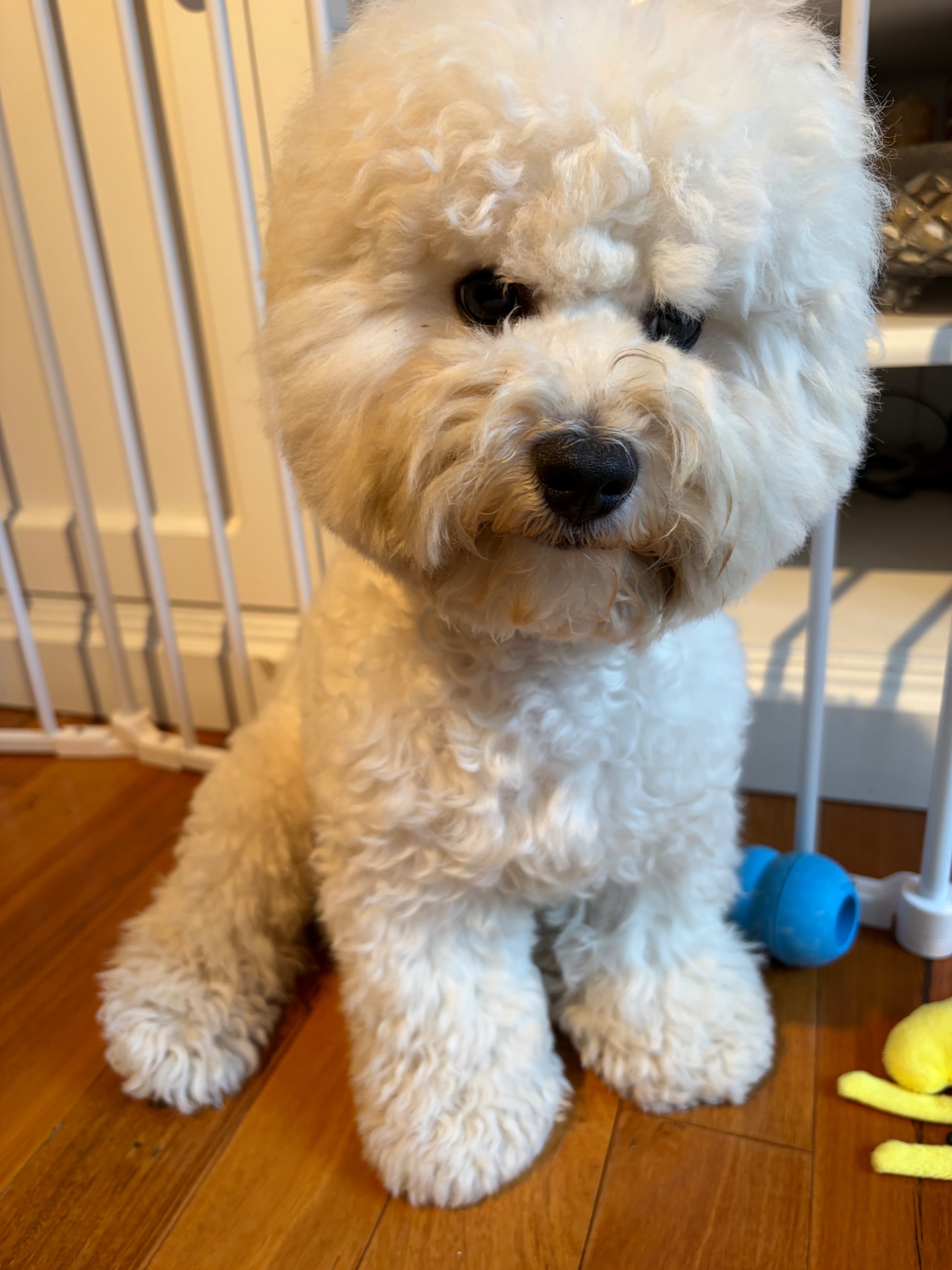 Before