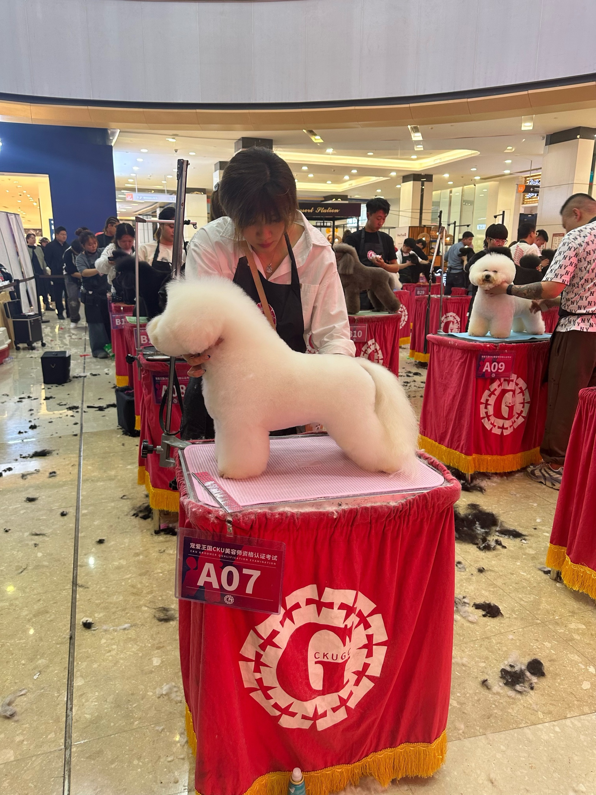 Competition grooming