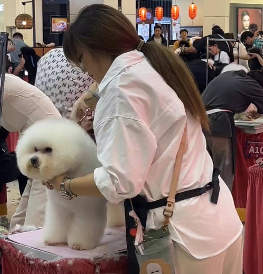 Competition grooming