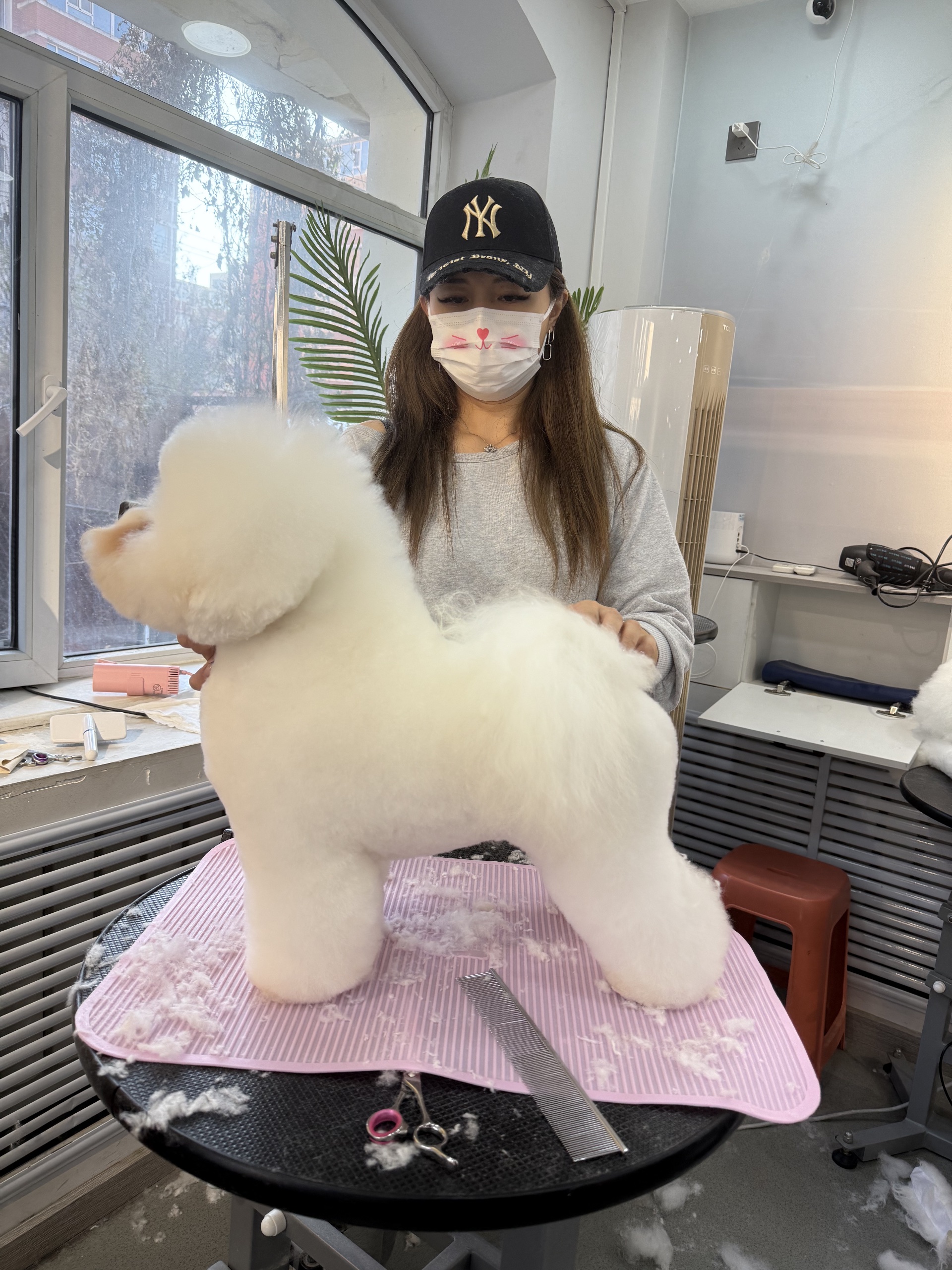 Competition grooming