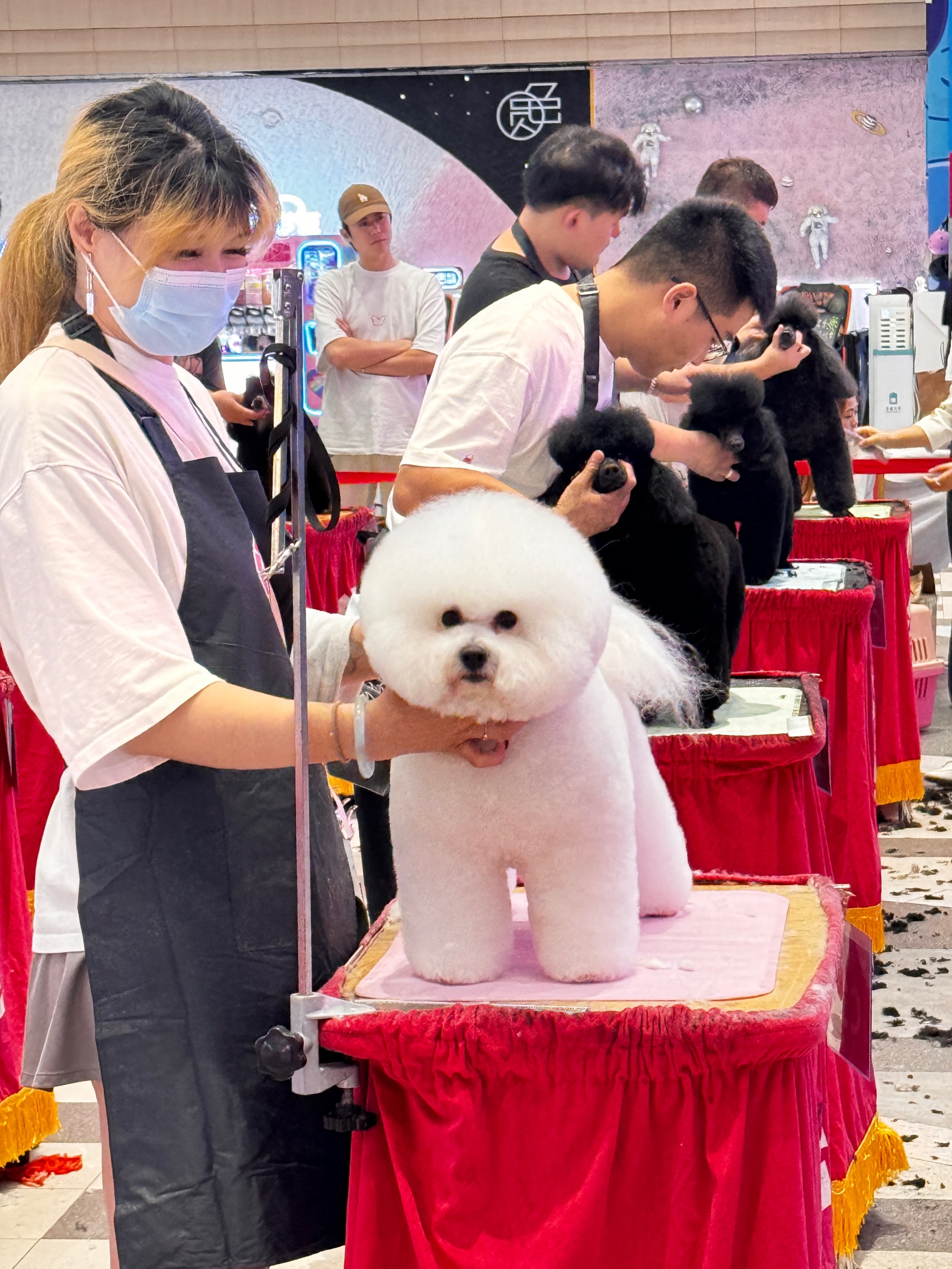 Competition grooming