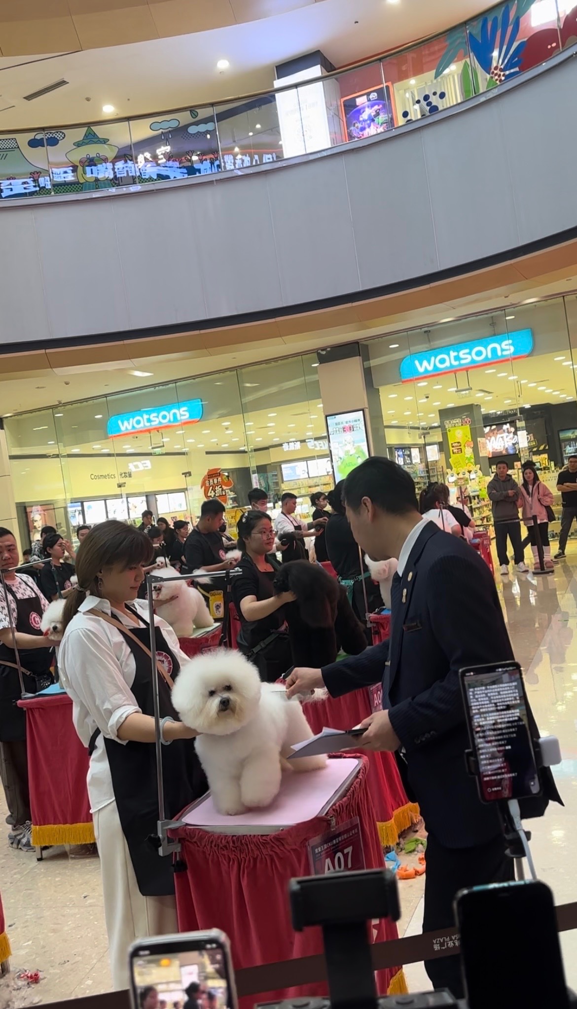 Competition grooming