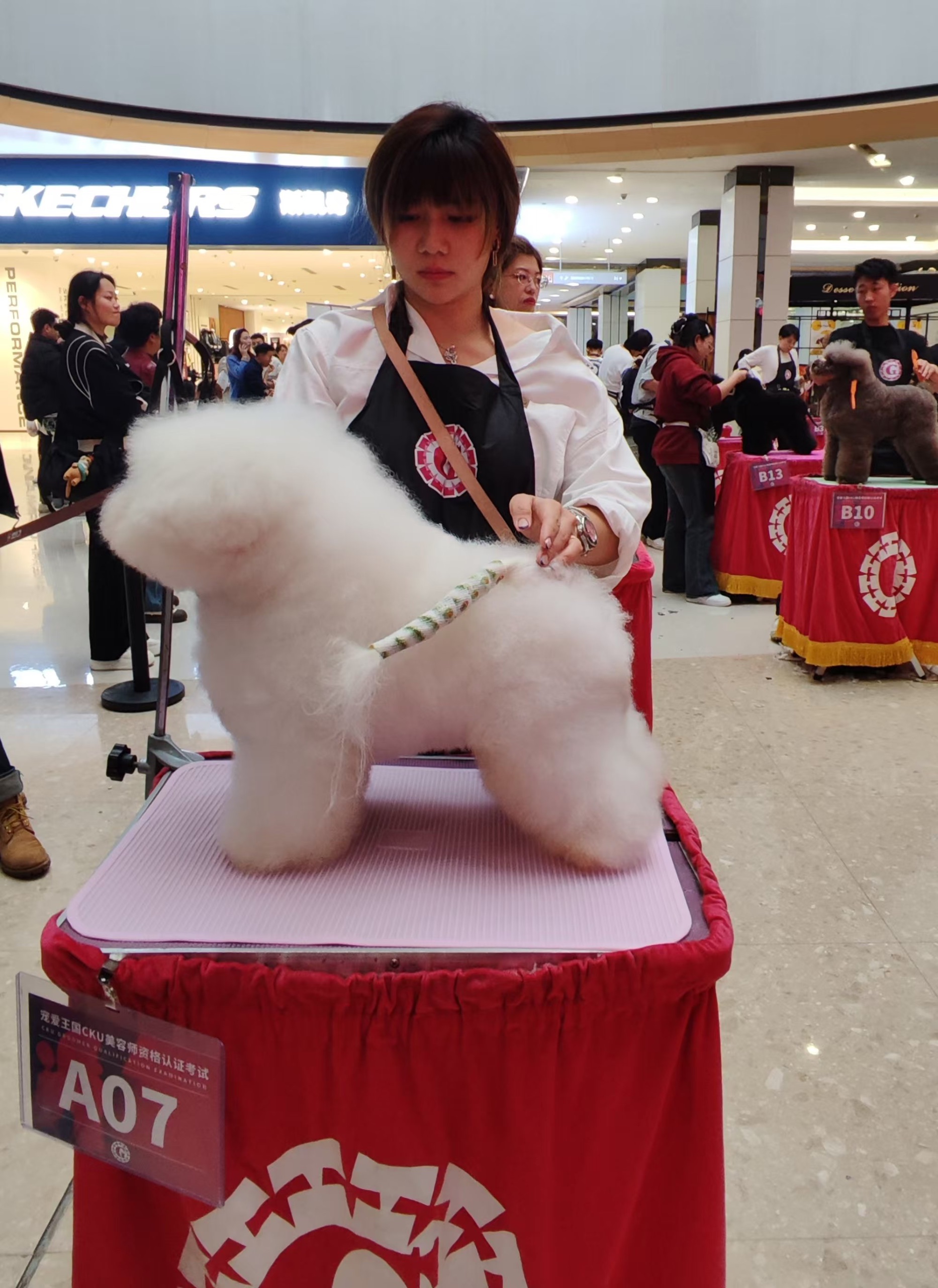 Competition grooming