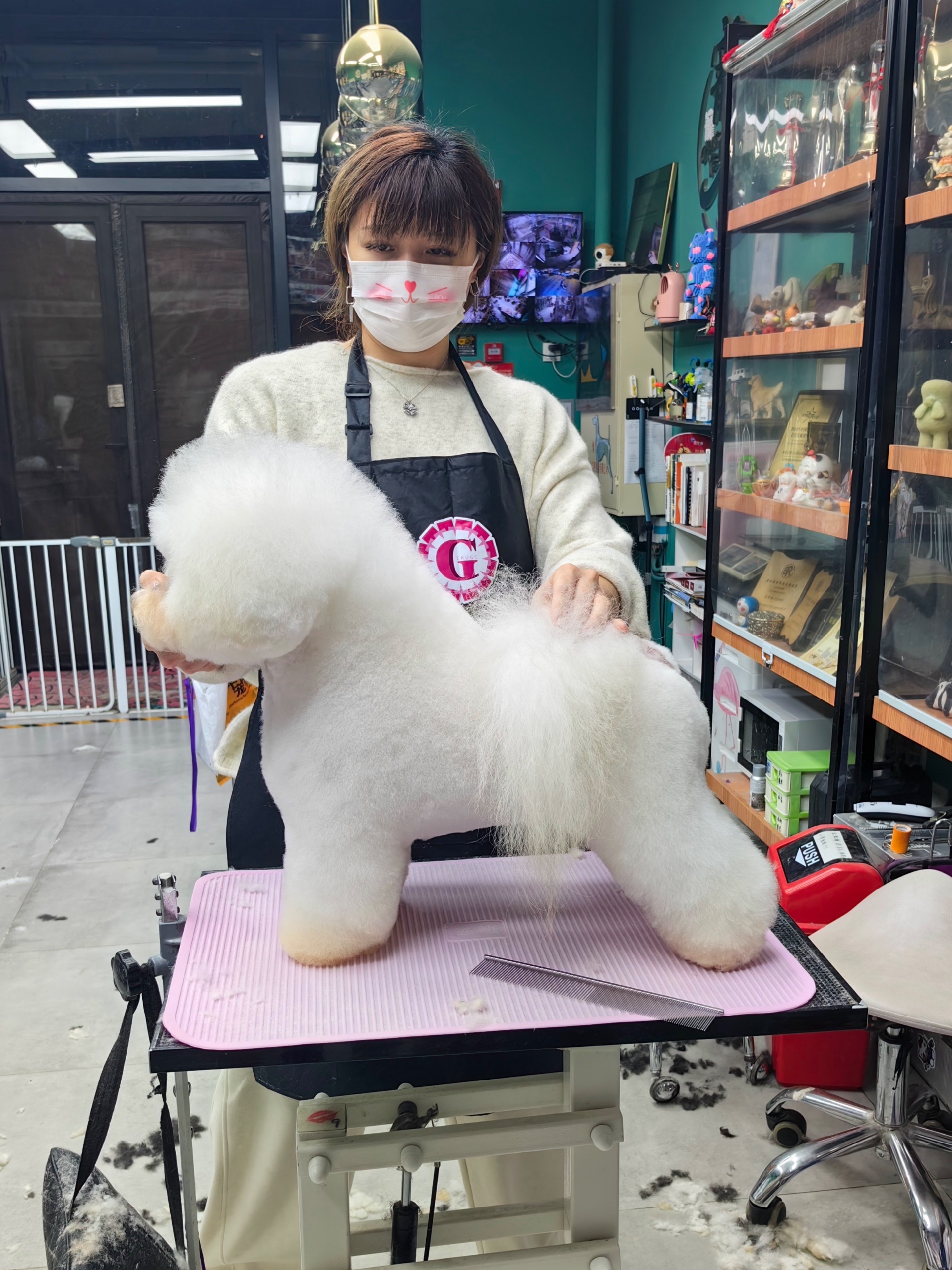 Competition grooming